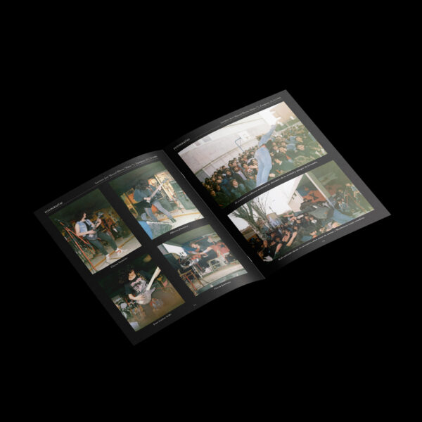 MAELSTROM - Resting in the Pantheon / Augury of Decline (12" LP on Blue Vinyl, Patch, Posters) - Image 3
