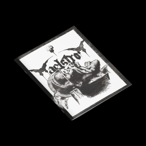 MAELSTROM - Resting in the Pantheon / Augury of Decline (12" LP on Blue Vinyl, Patch, Posters) - Image 2