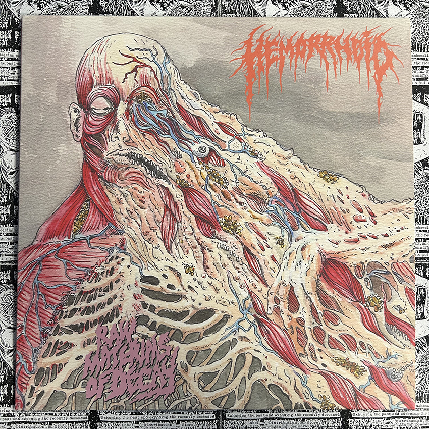 HEMORRHOID - Raw Materials of Decay (12" LP on Black Vinyl) - Image 2