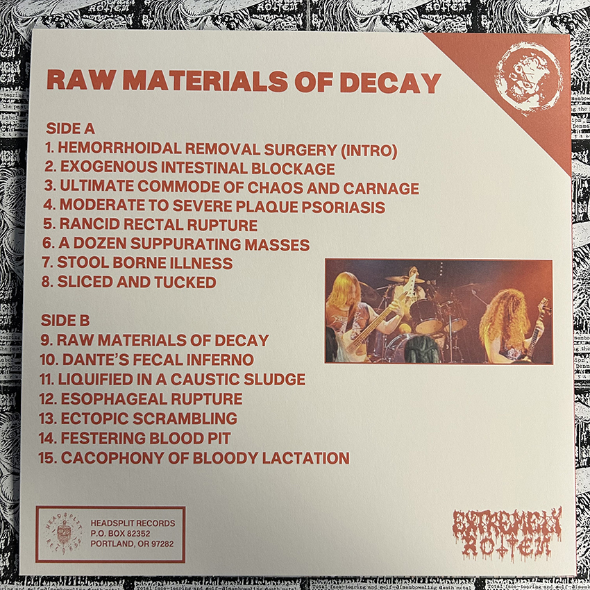 HEMORRHOID - Raw Materials of Decay (12" LP on Black Vinyl) - Image 3
