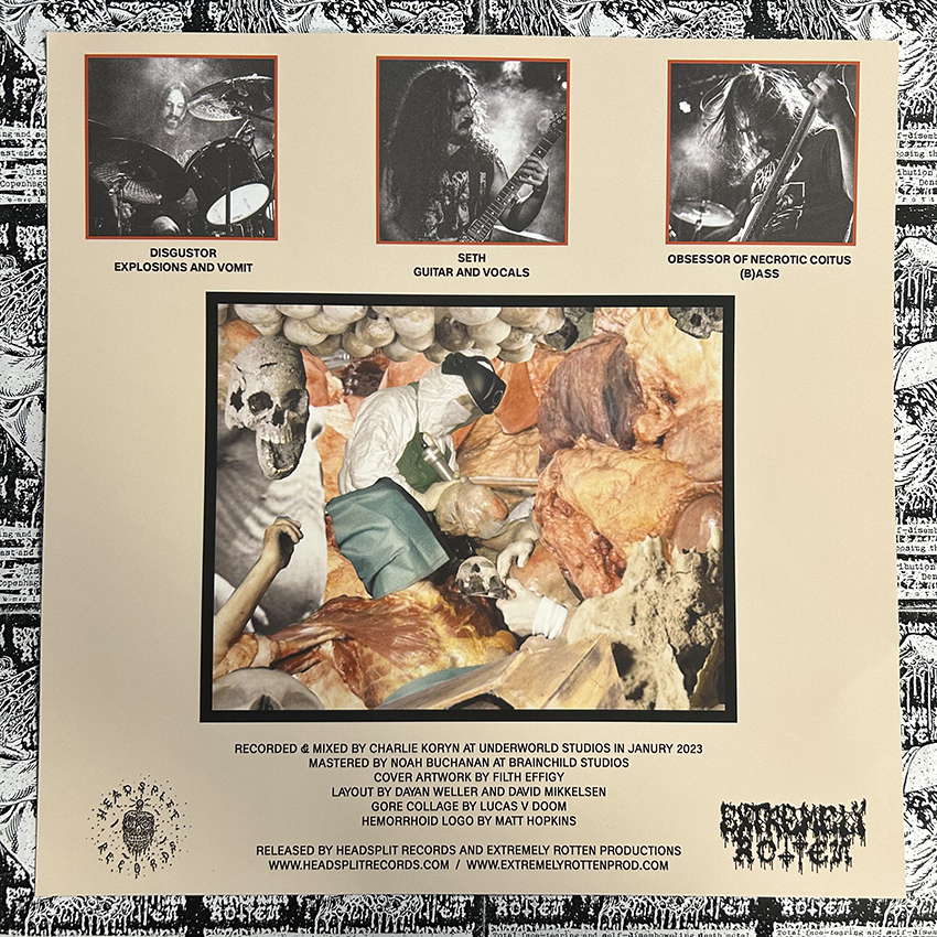 HEMORRHOID - Raw Materials of Decay (12" LP on Black Vinyl) - Image 5