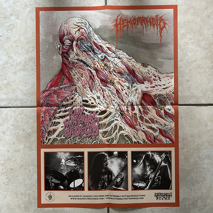 HEMORRHOID - Raw Materials of Decay (12" LP on Black Vinyl) - Image 6