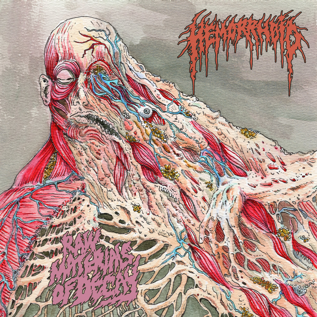 HEMORRHOID - Raw Materials of Decay (12" LP on Black Vinyl)