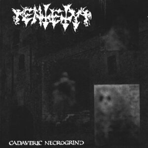 ENTETY – Cadaveric Necrogrind (12" LP on Black Vinyl)