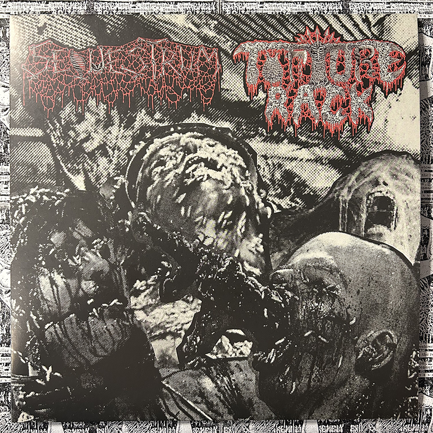 SEQUESTRUM / TORTURE RACK – s/t (12" LP on Black Vinyl) - Image 2